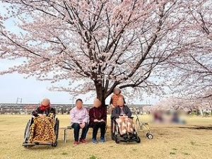 荒川デイ💐桜見学🌸🍃